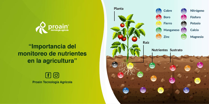 IMPORTANCIA DEL MONITOREO DE NUTRIENTES EN LA AGRICULTURA