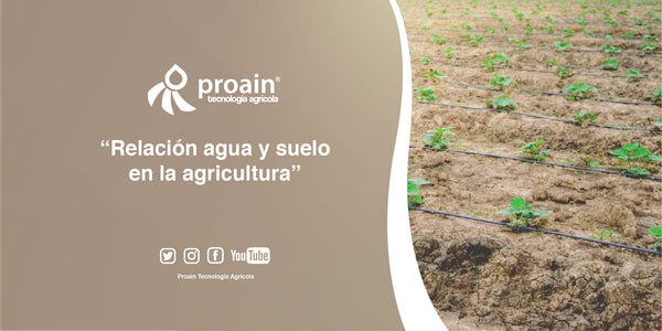 Relación agua y suelo en la agricultura