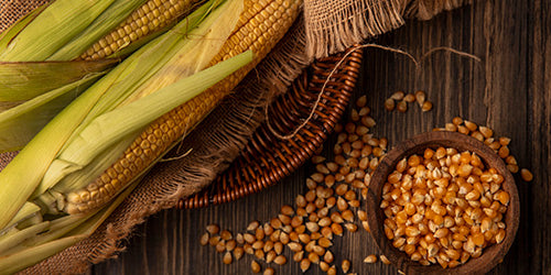 ¿Qué factores se analizan para determinar la calidad de los granos?