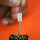 Pinza de plástico para injerto en Solanáceas (Diferentes medidas)