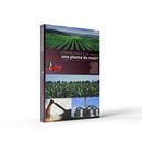 Cómo crece y se nutre una planta de maíz