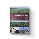 Cómo crece y se nutre una planta de maís